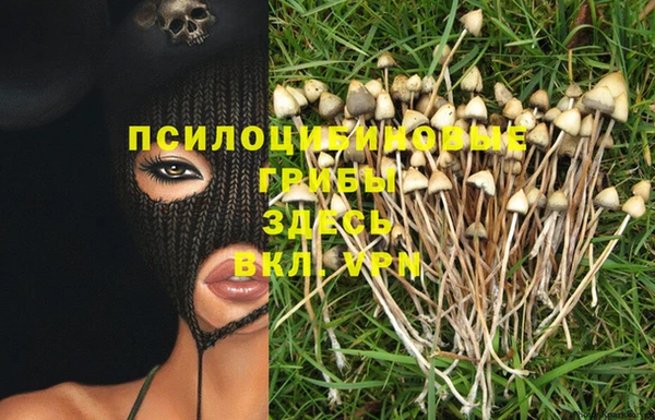 не бодяженный Белокуриха