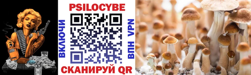 Галлюциногенные грибы Psilocybine cubensis  где купить наркоту  Среднеуральск 